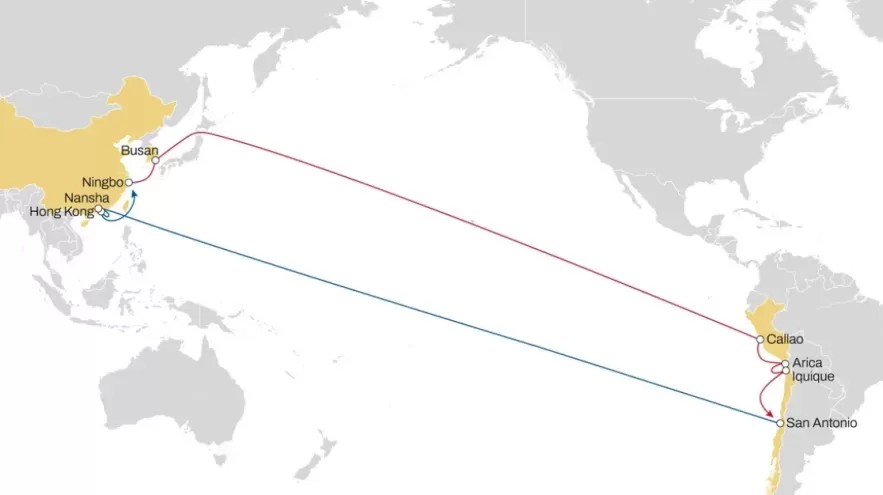 MSC launches a new Alpaca route, providing express services from the Far East to the West Coast of South America